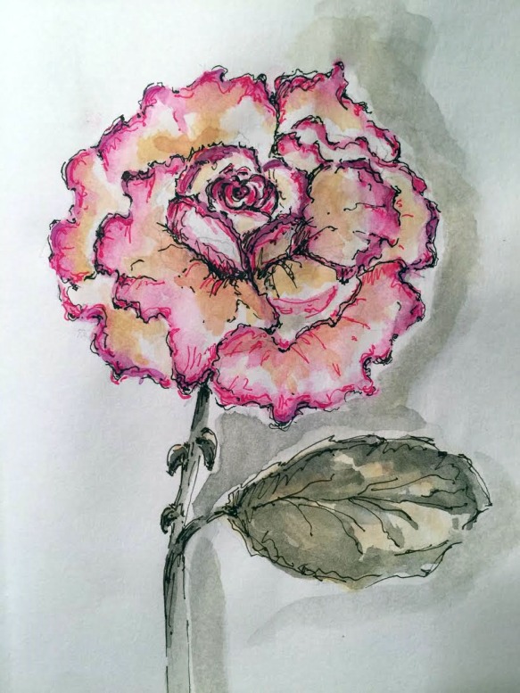 Peace Rose - Original Watercolor ©Carolina Russo